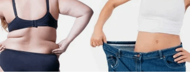 The principles of the favorite diet menu