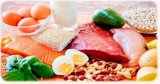 advantages of the protein diet