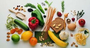 sensible nutritional principles for weight loss